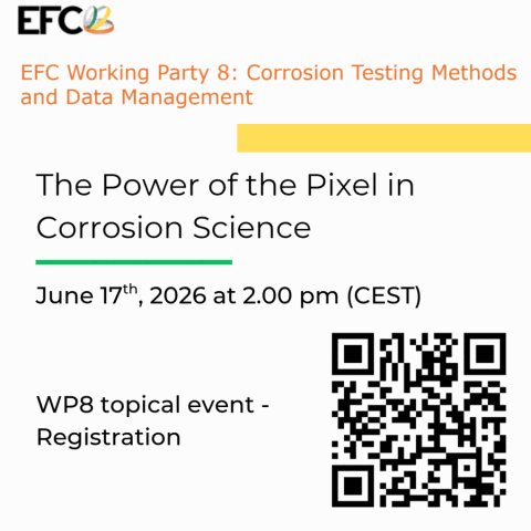 Topical event WP8
