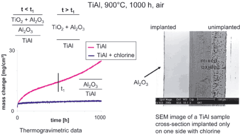 Fig4_4_TiAl_implant