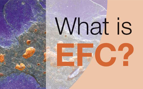 What is EFC