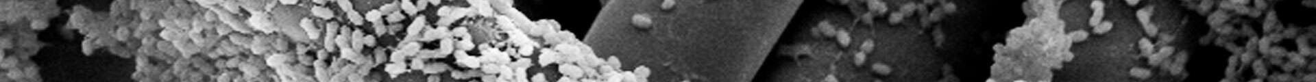Electro biotechnology