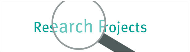 projekt_suche