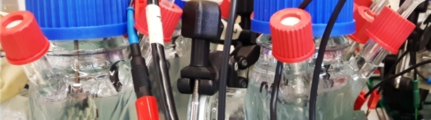 Forschungsbild
